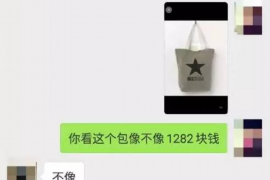 樟树收债公司排名：揭秘行业翘楚，助力债务回收